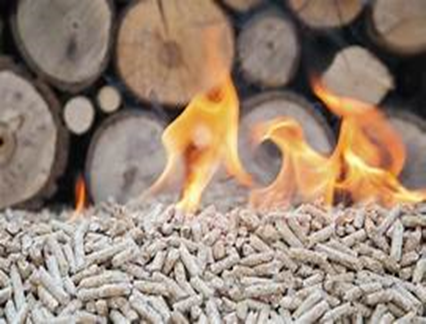 biomass is attributed to the depletion