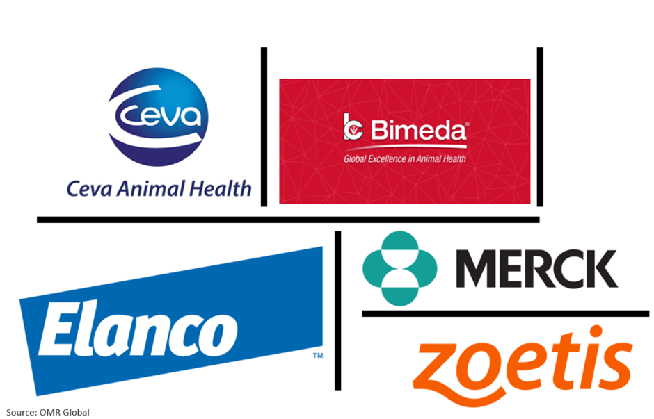 global veterinary dermatology drugs market players outlook
