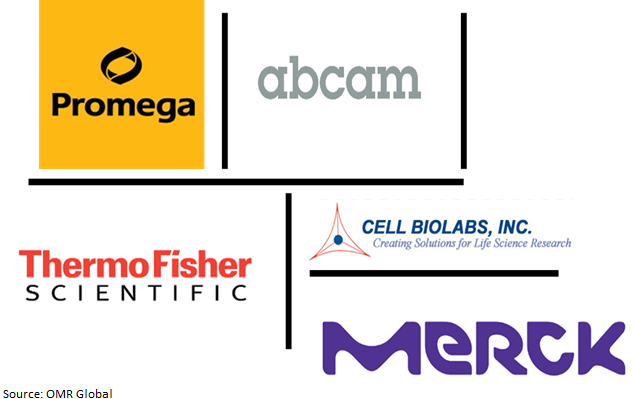 global oxidative stress assay market players outlook