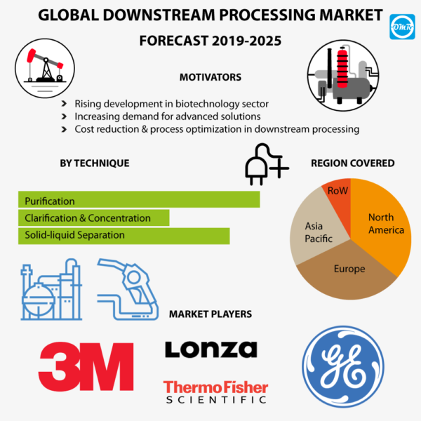 Downstream Processing Market Report